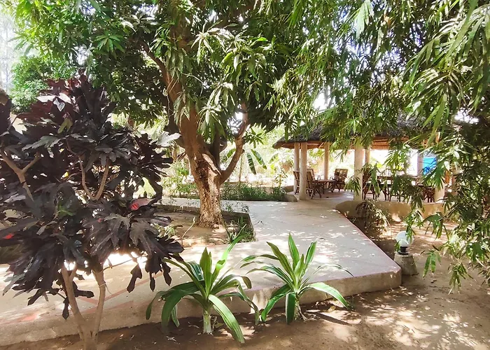 Le jardin de Adja