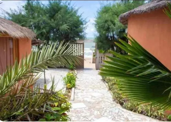 Djembé B&B